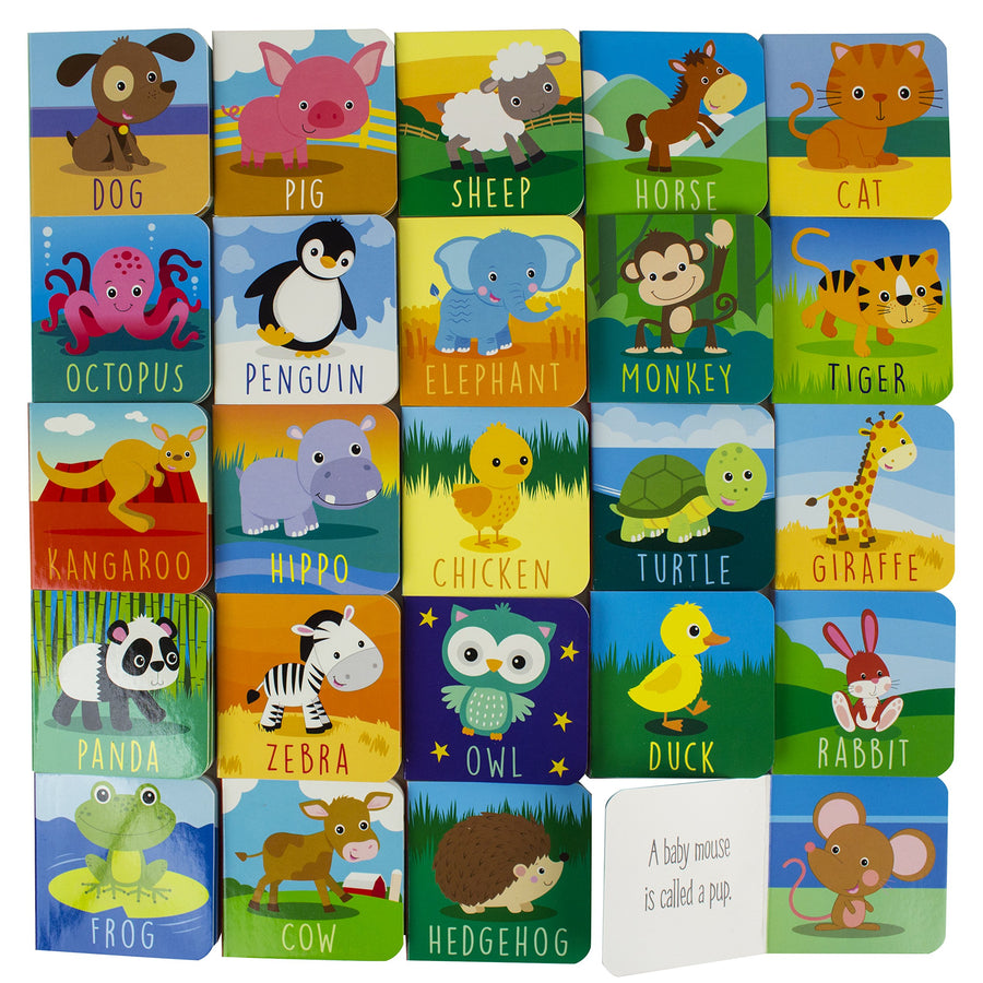 Hello Baby Animals 24 Book Set Board book
