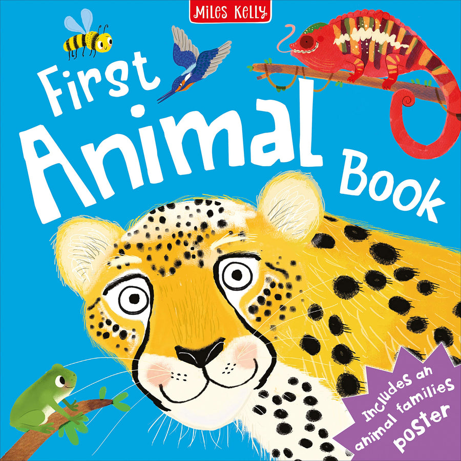 First Animal Book - Little Book